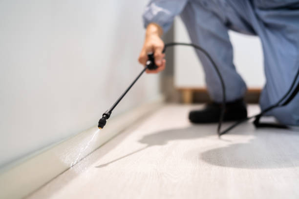 Licensed Pest Control service in San Angelo, TX - Show Me Pest Control