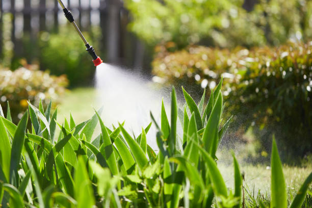 24/7 Emergency Mosquito Control experts in San Angelo, TX