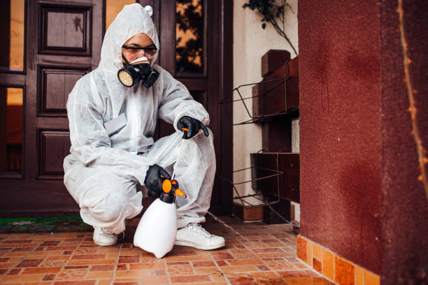 Reliable Mosquito Control contractor in San Angelo, TX by Show Me Pest Control